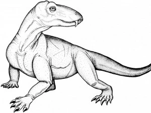 Thằn lằn dinocephalia. (Nguồn: Internet)