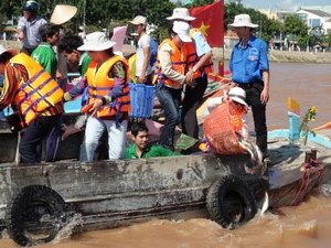 Các tổ chức, cá nhân tham gia thả cá trên sông Tiền. (Ảnh : Vương Thoại Trung/Vietnam+)