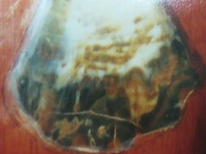Khối gỗ hóa thạch có họa tiết, hoa văn mang hình ảnh Bác Hồ làm việc tại hang Pắc Bó. (Ảnh: Thiên Linh/Vietnam+)