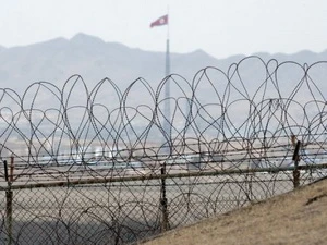 Hàng rào dây thép gai ở khu phi quân sự DMZ chia tách hai miền Triều Tiên (Nguồn: AFP)