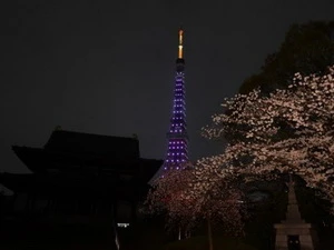 Thủ đô Tokyo của Nhật tắt đèn hưởng ứng giờ Trái đất (Nguồn: AFP)
