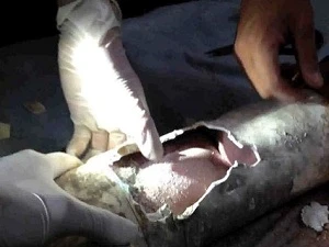 Bé sơ sinh bị kẹt trong ống cống bằng nhựa (Nguồn: LA Times)