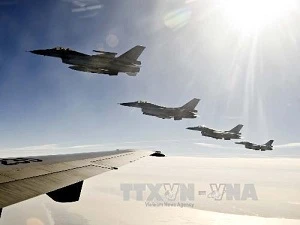 Máy bay tiêm kích F-16 (Ảnh minh họa: AFP)