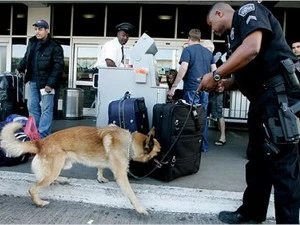 Cảnh sát và chó nghiệp vụ tăng cường khám xét hành lý ở sân bay tại Los Angeles. (Ảnh: New York Times)