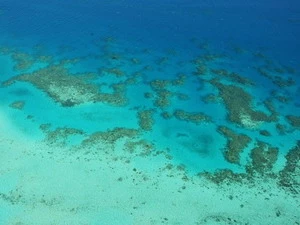 Vỉa san hô ngầm lớn nhất thế giới Great Barrier Reef. (Ảnh: Getty Images)