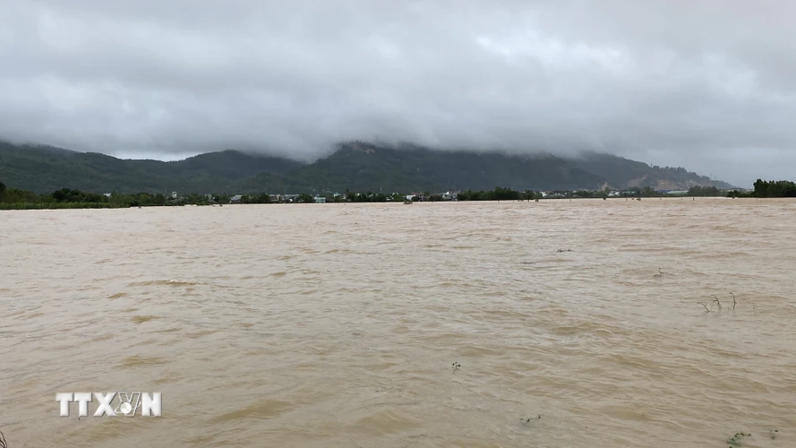 Nhiều khu vực tại thành phố Quy Nhơn, tỉnh Bình Định bị ngập trong nước lũ. (Ảnh: Tường Quân/TTXVN)