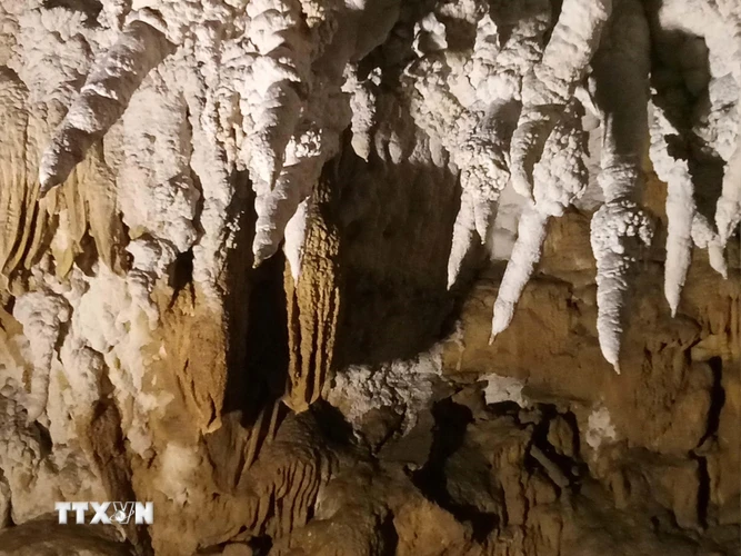 Vẻ đẹp kỳ thú của những nhũ đá trên vách trong hang động Huổi Cang. (Ảnh: Xuân Tiến/TTXVN)