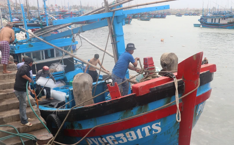 Tàu cá của ngư dân phường Phú Đông, thành phố Tuy Hòa, Phú Yên, cập cảng Đông Tác tiếp nhiên liệu chuẩn bị cho chuyến đi biển kéo dài khoảng 20 đến 25 ngày đánh bắt tại ngư trường Hoàng Sa, Trường Sa. (Ảnh: Phạm Cường/TTXVN)