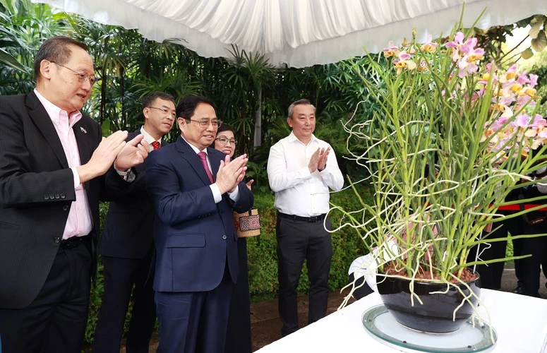Thủ tướng Phạm Minh Chính và Phu nhân gắn biển tên cho cây hoa lan mang tên Phạm Lê Trân Chính. (Ảnh: Dương Giang/TTXVN)