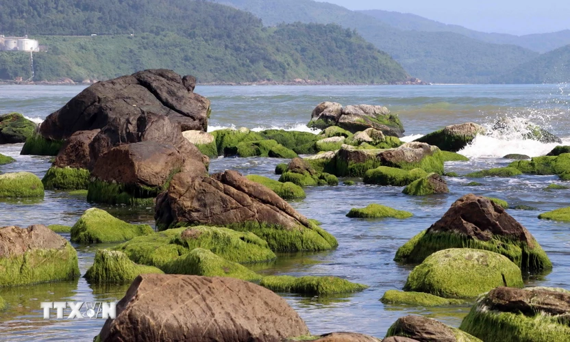 Bãi đá Nam Ô thuộc quận Liên Chiểu, thành phố Đà Nẵng đang là thời điểm đẹp nhất trong năm, thu hút nhiều người dân và du khách đến tham quan. (Ảnh: Trần Lê Lâm/TTXVN) 