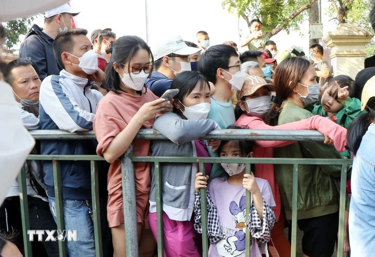 Dòng người xếp hàng chờ được mua vé xem các trận đấu môn bóng đá nam SEA Games 31 tại Phú Thọ. (Ảnh: Trung Kiên/TTXVN)