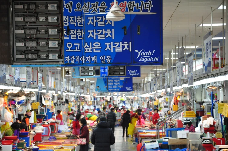 Chợ hải sản Jagalchi (Busan) - khu chợ hải sản không chỉ lớn nhất ở Hàn Quốc mà còn lớn nhất khu vực Đông Bắc Á. (Ảnh: Thanh Thảo/Vietnam+) 