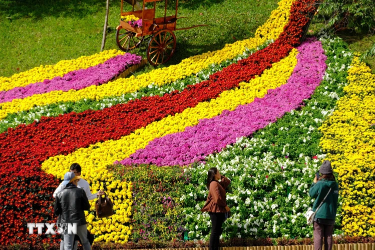 Tiểu cảnh 'thác hoa' Đà Lạt chiêu đãi thị giác của du khách và người dân địa phương trong dịp Festival hoa Đà Lạt 2022. (Ảnh: Nguyễn Dũng/TTXVN)