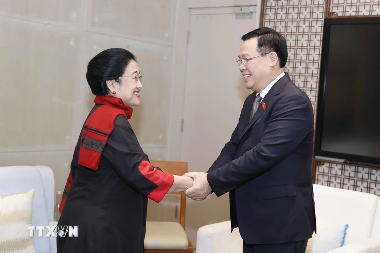 Chủ tịch Quốc hội Vương Đình Huệ gặp Chủ tịch Đảng Dân chủ Indonesia đấu tranh (PDI-P) Megawati Sukarnoputri. (Ảnh: Doãn Tấn/TTXVN)