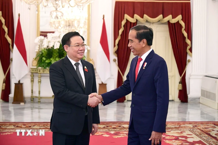 Chủ tịch Quốc hội Vương Đình Huệ có cuộc hội kiến với Tổng thống Indonesia Joko Widodo. (Ảnh: TTXVN)
