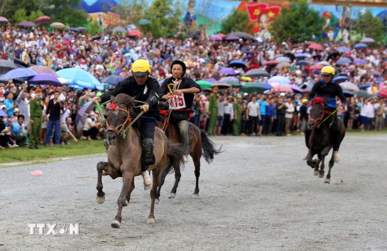 Nài ngựa Lâm Văn Thàng (xã Tả Chải, Bắc Hà) bứt phá về đích giành ngôi vô địch. (Ảnh: Quốc Khánh/TTXVN)