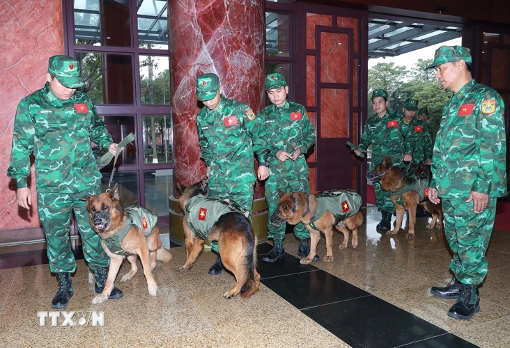 Đội chó nghiệp vụ làm công tác cứu hộ, cứu nạn của lực lượng bộ đội biên phòng sẵn sàng lên đường. (Ảnh: Trọng Đức/TTXVN)