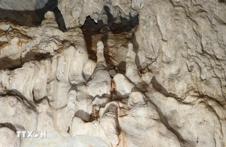 Những hình dạng kỳ thú, lạ mắt của những dãy nhũ đá trong khoang thứ nhất của hang động Hắt Chuông. (Ảnh: Xuân Tiến/TTXVN)