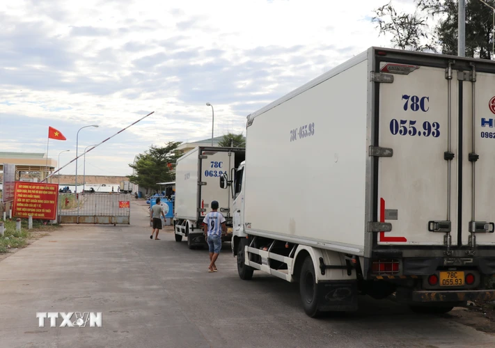 Các lái xe tải được yêu cầu đo thân nhiệt, làm thủ tục trước khi vào cảng Phú Lạc theo thức tự. (Ảnh: Phạm Cường/TTXVN)