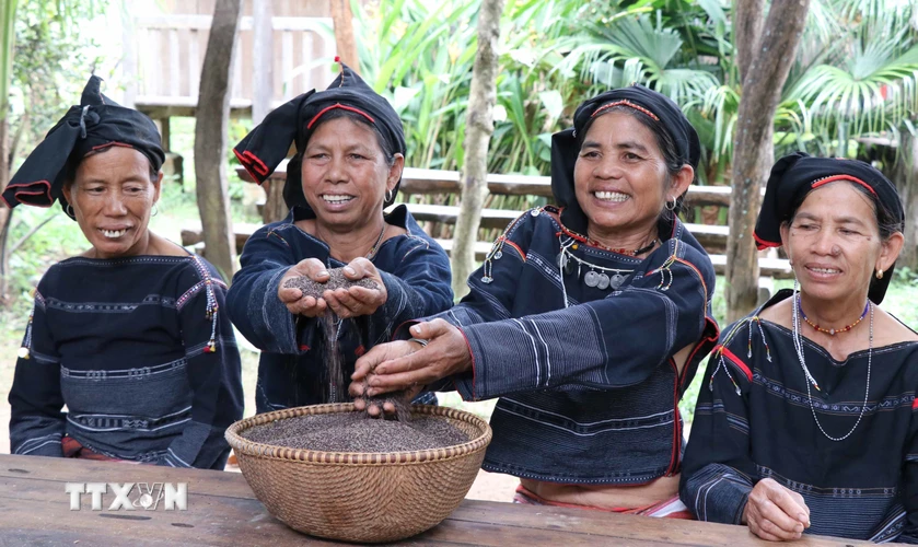 Có dịp đến với đại ngàn Tây Nguyên, ngoài nét văn hóa đặc trưng cuốn hút của vùng đất đỏ bazan, du khách còn có cơ hội được thưởng thức hương vị rượu cần - thức uống không thể thiếu trong tất cả các lễ hội của đồng bào dân tộc thiểu số nơi đây. (Ảnh: Hồng Điệp/TTXVN)