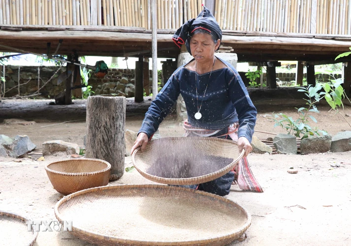 Phụ nữ trong làng tập trung giã, sàng sẩy để lựa chọn hạt Cào đạt chuẩn nấu rượu cần. (Ảnh: Hồng Điệp/TTXVN)