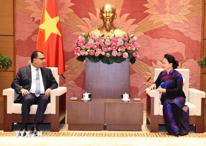 Chủ tịch Quốc hội Nguyễn Thị Kim Ngân tiếp Đại sứ Cộng hòa Chile tại Việt Nam Jaime Chomali Garib, ngày 11/12/2020. (Ảnh: Trọng Đức/TTXVN)