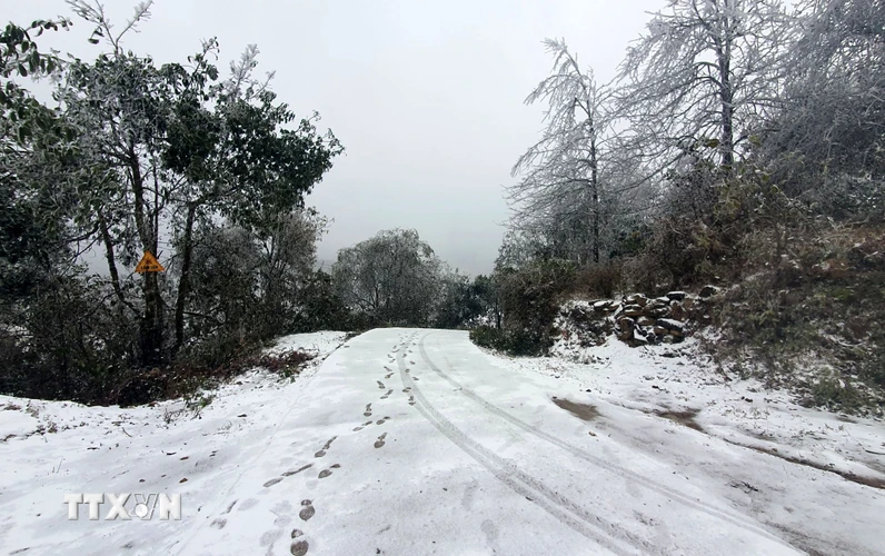 Các con đường thuộc thôn Nhìu Cô San, xã Y Tý, huyện Bát Xát, mưa tuyết phủ dày đặc. (Ảnh: Quốc Khánh/TTXVN)
