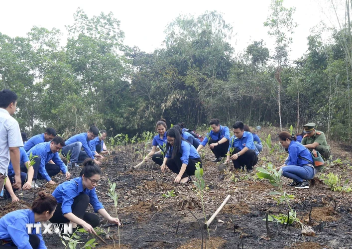 Đoàn viên, thanh niên TTXVN trồng cây hưởng ứng Tết trồng cây năm 2021 và chương trình trồng 1 tỷ cây xanh. (Ảnh: Tuấn Đức/TTXVN)