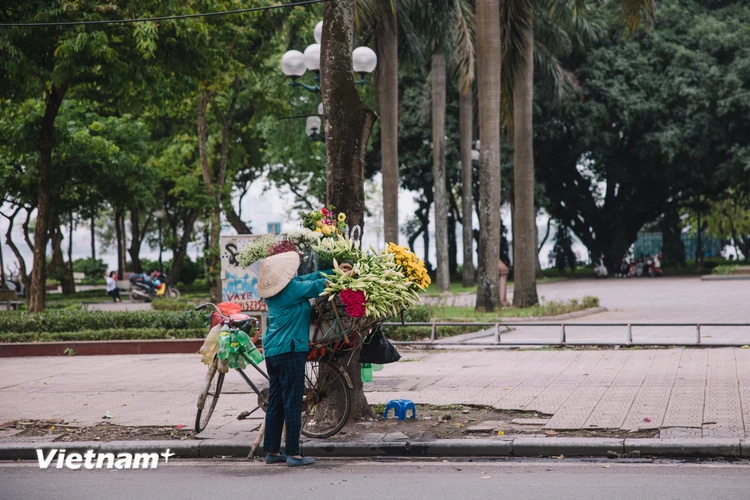 Cứ mỗi độ tháng Tư về, không hẹn mà gặp, người dân Thủ đô không khỏi ngẩn ngơ trước mỗi xe hoa đầy ắp nụ loa kèn. (Ảnh: Minh Sơn/Vietnam+)