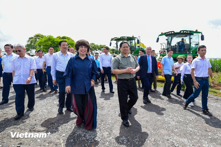Sáng 23/7, Thủ tướng Chính phủ Phạm Minh Chính và Đoàn công tác Trung ương đã có chuyến thăm trang trại của Tập đoàn TH ở thị xã Thái Hòa (Nghệ An). (Ảnh: Minh Sơn/Vietnam+)