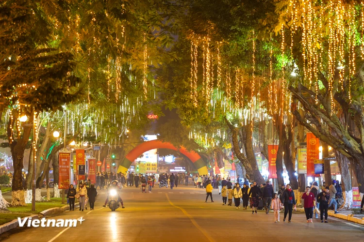 Tối 30/12 tại khu vực cổng chính Công viên Thống Nhất, Uỷ ban Nhân dân quận Hai Bà Trưng, Hà Nội đã chính thức khai trương không gian đi bộ phố Trần Nhân Tông và phụ cận. (Ảnh: Minh Sơn/Vietnam+)