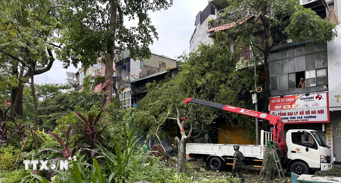 Lực lượng bộ đội cùng nhân dân khắc phục hậu quả cơn bão tại phố Quán Thánh, Ba Đình, Hà Nội. (Ảnh: Kim Anh/ TTXVN)