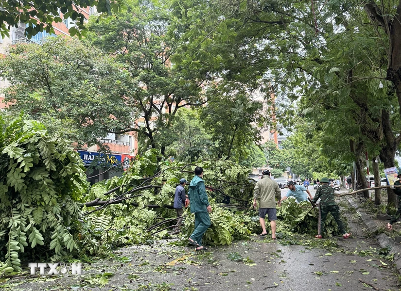 Lực lượng bộ đội cùng nhân dân tham gia khắc phục hậu quả cơn bão tại đường Dương Lâm, Khu đô thị Văn Quán, Hà Đông, Hà Nội. (Ảnh: Kim Anh/TTXVN)