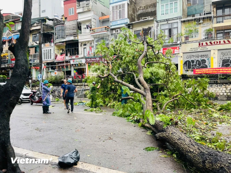 Lực lượng chức năng cùng người dân ở phố Đường Thành, phường Cửa Đông, quận Hoàn Kiếm thu dọn cây đổ vắt ngang qua đường. (Ảnh: Thúy Lan/Vietnam+)