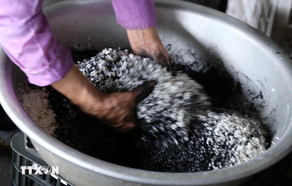 Gạo nếp nương được trộn với than lấy từ cây núc nác. Đó là nguyên liệu chính để làm được bánh chưng đen. (Ảnh: Quốc Khánh/TTXVN)