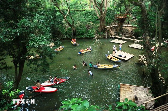 VQG Phong Nha - Kẻ Bàng gặt hái nhiều thành tựu trong công tác bảo tồn - Ảnh 3.