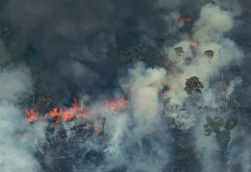 Khói lửa bốc lên từ đám cháy tại rừng Amazon ở Porto Velho, bang Rondonia, miền Tây Bắc Brazil, ngày 24/8/2019. (Nguồn: AFP/TTXVN)