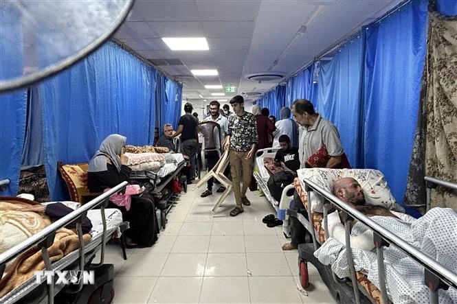 Bệnh nhân được điều trị tại bệnh viện Al-Shifa ở Gaza ngày 10/11/2023. (Ảnh: AFP/TTXVN)