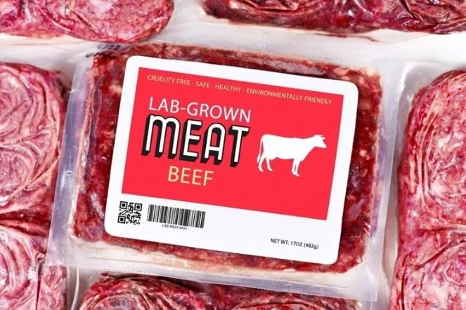 Thịt nhân tạo liệu có thể thay thế được thịt truyền thống trên bàn ăn?- Ảnh 1.