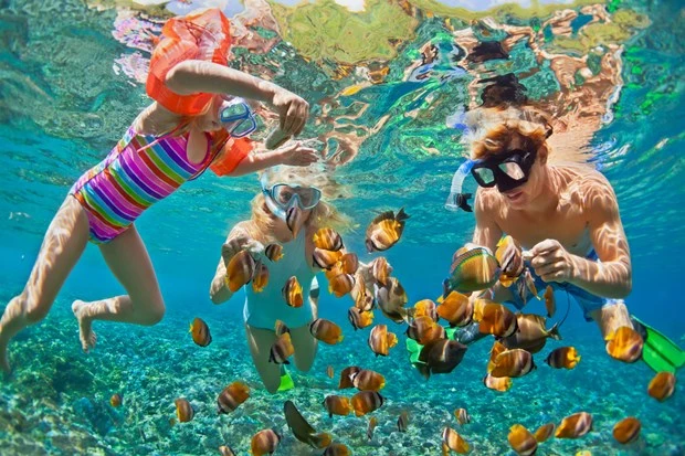 Đảo Ngọc Phú Quốc lọt top 50 điểm du lịch hàng đầu thế giới năm 2024 - Ảnh 2.