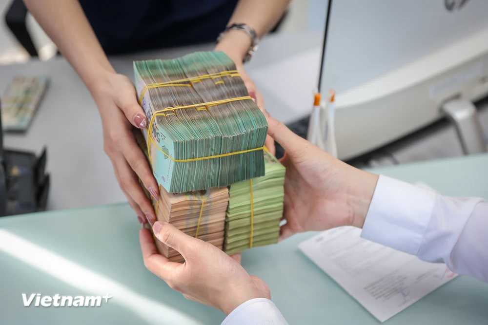 Khẩn trương tìm nhiều giải pháp để đẩy vốn ra nền kinh tế | Vietnam+ (VietnamPlus)