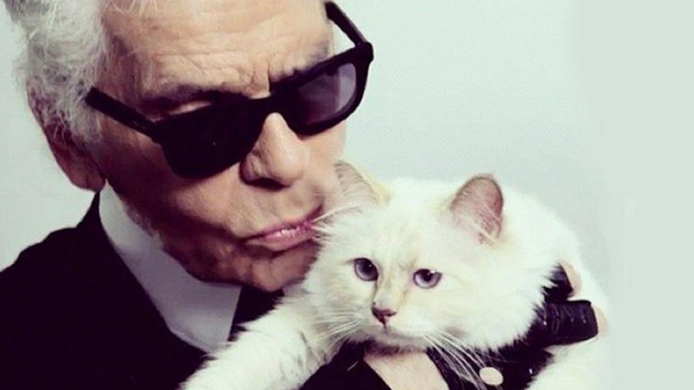 'Cô mèo' Choupette có thể được thừa kế tài sản của Lagerfeld. (Nguồn: The Times)
