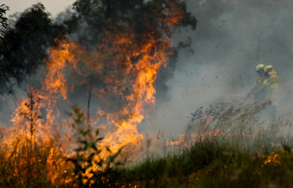 Hiện trường vụ cháy rừng gần Taree, New South Wales, Australia, ngày 11/11. (Ảnh: THX/TTXVN)