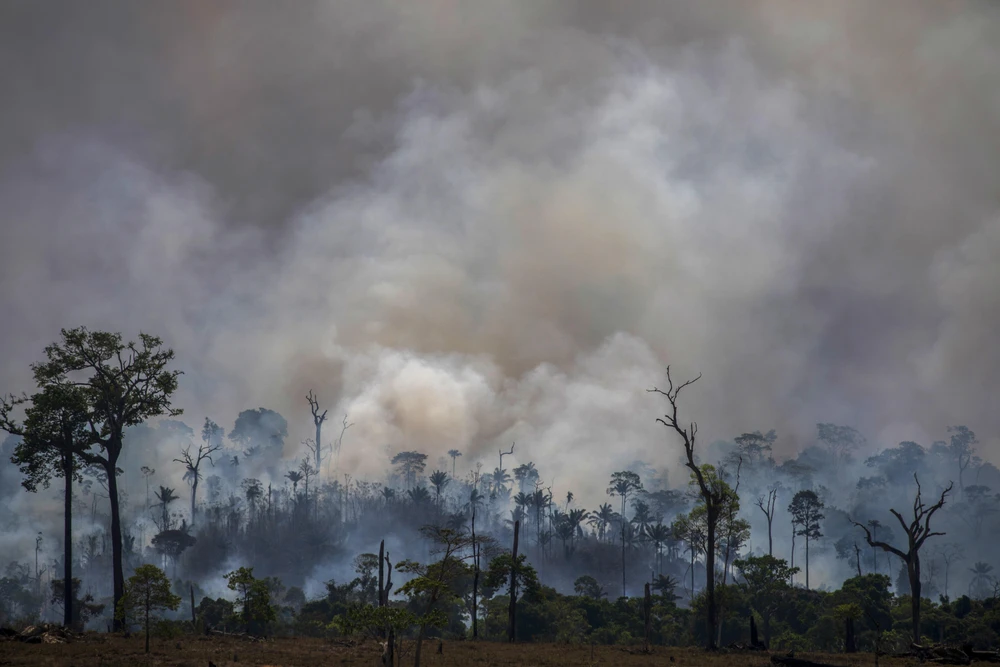 Khói lửa bốc ngùn ngụt tại rừng Amazon, khu vực Altamira thuộc bang Para, Brazil ngày 27/8/2019. (Ảnh: AFP/TTXVN)