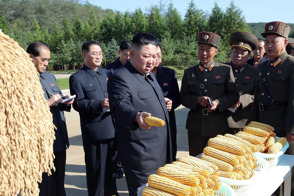 Nhà lãnh đạo Triều Tiên Kim Jong-un thị sát một nông trại thuộc đơn vị 810 của quân đội nhân dân Triều Tiên. (Ảnh: AFP/TTXVN)