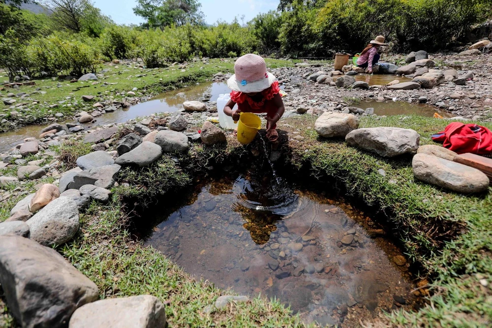 Người dân thôn Tà Nôi, huyện Ninh Sơn lấy nước từ những dòng suối còn chút ít để sinh hoạt do hạn hán kéo dài. (Ảnh: TTXVN)