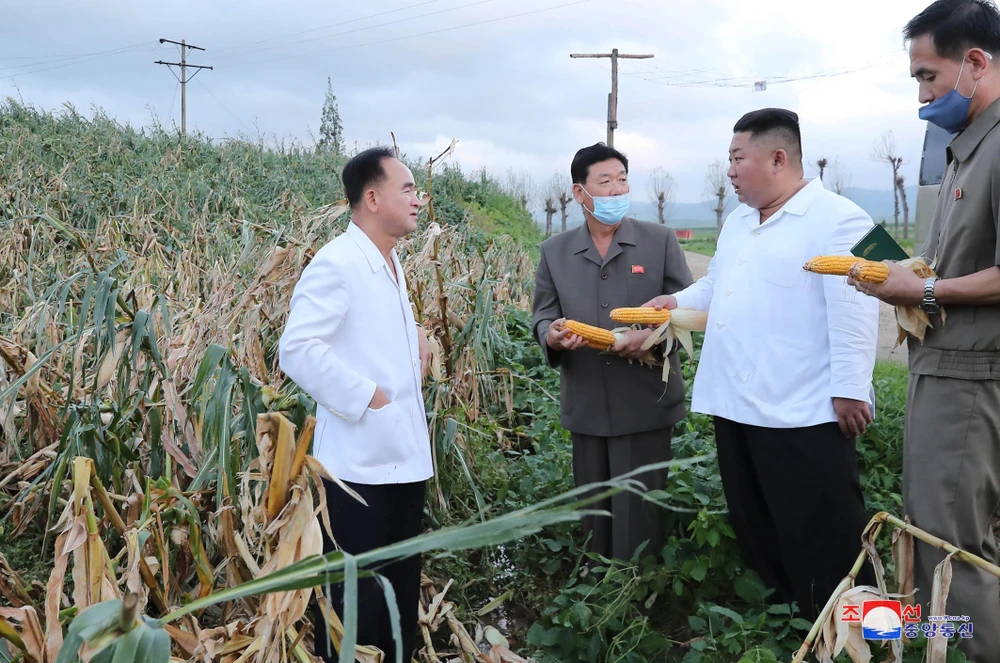 Nhà lãnh đạo Triều Tiên Kim Jong-un (thứ 2, phải) thăm khu vực bị ảnh hưởng do bão tại tỉnh Nam Hwanghae, Triều Tiên. (Ảnh: Yonhap/TTXVN)