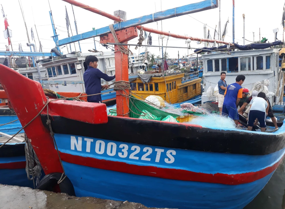Ngư dân Ninh Thuận neo đậu tàu thuyền tại cảng cá Đông Hải để trú bão số 12. (Ảnh: Nguyễn Thành/TTXVN)