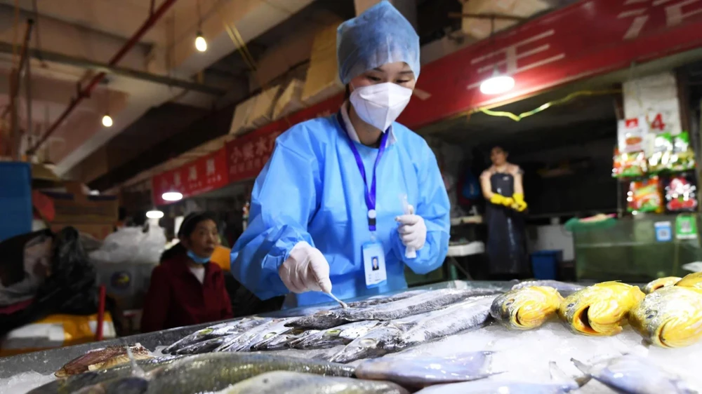 Nhân viên y tế Trung Quốc lấy mẫu kiểm tra virus SARS-CoV-2 trên sản phẩm hải sản đông lạnh nhập khẩu. (Nguồn: Reuters)