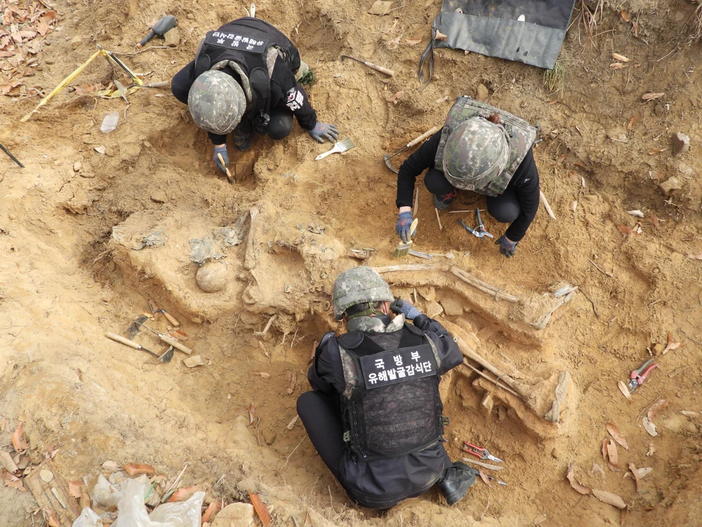 Khai quật hài cốt các binh sỹ thiệt mạng trong Chiến tranh Triều Tiên (1950-1953) tại Cheorwon, Khu phi quân sự liên Triều, ngày 10/4/2020. (Ảnh: Yonhap/TTXVN)